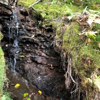 Presque Isle Falls