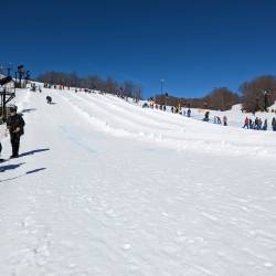 Cardboard Classic Crystal Mountain 2023