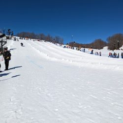 Cardboard Classic Crystal Mountain 2023