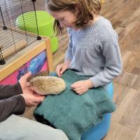 Cognition Science and Discovery Center in Beulah Michigan