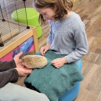Cognition Science and Discovery Center in Beulah Michigan