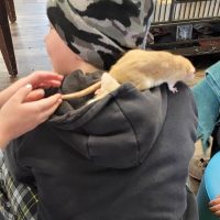 Cognition Science and Discovery Center in Beulah Michigan