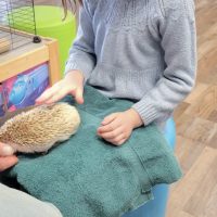 Cognition Science and Discovery Center in Beulah Michigan