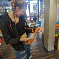 Cognition Science and Discovery Center in Beulah Michigan