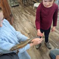 Cognition Science and Discovery Center in Beulah Michigan