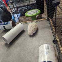 Cognition Science and Discovery Center in Beulah Michigan