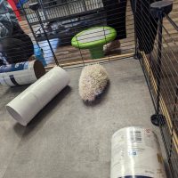 Cognition Science and Discovery Center in Beulah Michigan