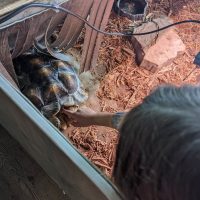 Cognition Science and Discovery Center in Beulah Michigan