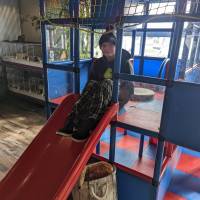 Cognition Science and Discovery Center in Beulah Michigan