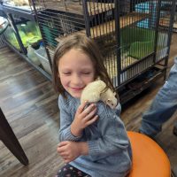 Cognition Science and Discovery Center in Beulah Michigan