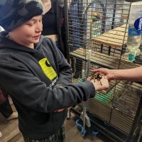 Cognition Science and Discovery Center in Beulah Michigan