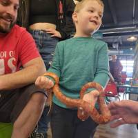 Holding a snake at Cognition in Beulah Michigan
