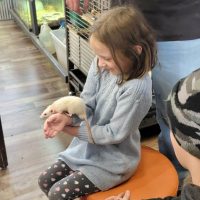 Cognition Science and Discovery Center in Beulah Michigan