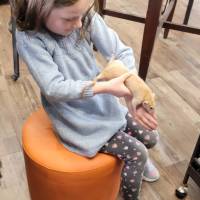 Cognition Science and Discovery Center in Beulah Michigan