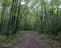 Negwegon Trail Negwegon Trail