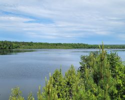 Oscoda County Mio Overlook AuSable River Oscoda County Mio Overlook AuSable River