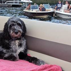 Summer Fun in Northern Michigan - Interlochen, Michigan