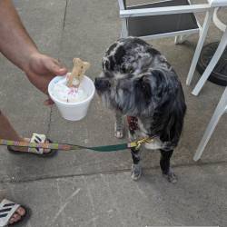 Summer Fun in Northern Michigan - Interlochen, Michigan