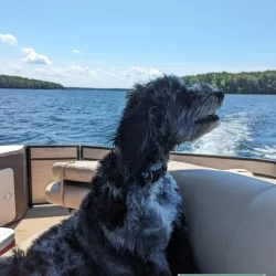 Summer boating on Long Lake in Traverse City, Michigan