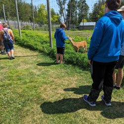 Weekend trip to Sault Ste. Marie