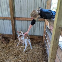 Weekend trip to Sault Ste. Marie