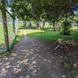 Weekend trip to Sault Ste. Marie