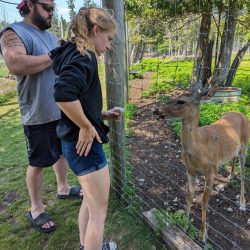 Weekend trip to Sault Ste. Marie