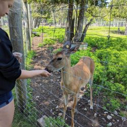 Weekend trip to Sault Ste. Marie