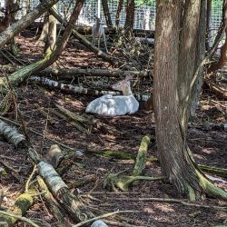 Weekend trip to Sault Ste. Marie