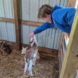 Weekend trip to Sault Ste. Marie