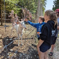 Weekend trip to Sault Ste. Marie