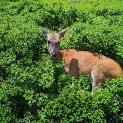 Weekend trip to Sault Ste. Marie
