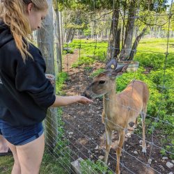Weekend trip to Sault Ste. Marie