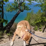 Pyramid Point Trail Leelanau County with Chloe