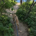 Pyramid Point Trail Leelanau County with Chloe