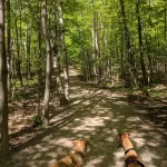 Pyramid Point Trail Leelanau County with the pups Chloe and Ava
