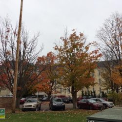 The main building at the Grand Traverse Commons