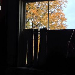 Window in one of the Buildings of Grand Traverse Commons