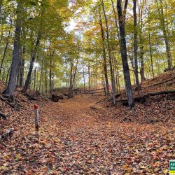 One of the trails at Grand Traverse Commons