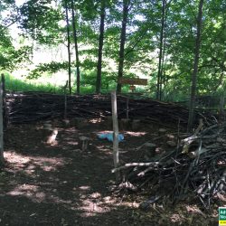 Art installation "Giant Bird Nest" on the trails at Grand Traverse Commons