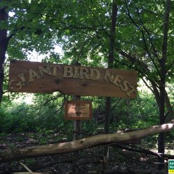 Art installation "Giant Bird Nest" on the trails at Grand Traverse Commons