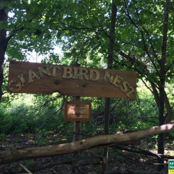 Art installation "Giant Bird Nest" on the trails at Grand Traverse Commons