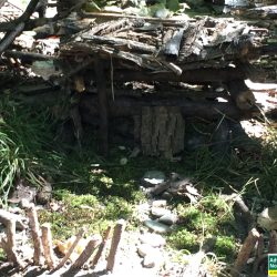 Fairy house on the trails at Grand Traverse Commons