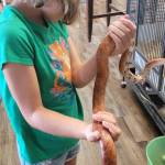 At Cognitions in Beulah in Benzie County