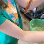 At Cognitions in Beulah in Benzie County