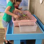 At Cognitions in Beulah in Benzie County