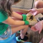 At Cognitions in Beulah in Benzie County