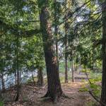 Long Island on Long Lake in Grand Traverse County