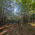 Long Island on Long Lake in Grand Traverse County