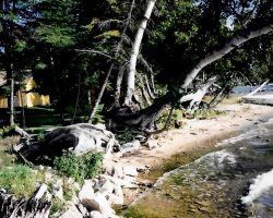 Big Manistique Lake 1998 - A return to Manistique Lakes area nearly 30 years later shows that while time passes, the timeless beauty of Michigan’s Upper Peninsula never fades.